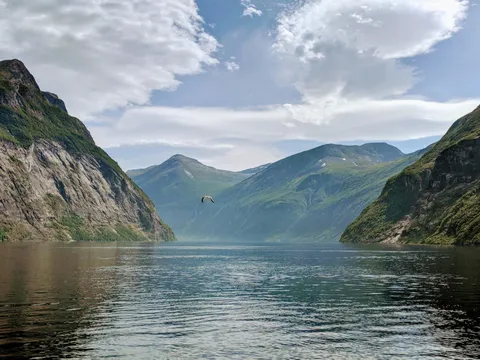 Stille norsk fjord mellom fjell
